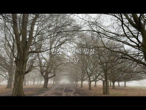 난생처음 청국장을 먹었다.그냥 그렇지 않은 봄날 영국일상.선물을 위한 빈티지 티폿. punk rock과 indi의 중심지 캠든마켓. 리들(LIDL)추천 &비추천 먹거리.오픈런 경험