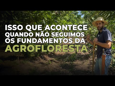 Vou te contar uma experiência minha...