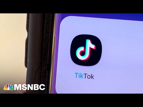 TikTok fights back against ban