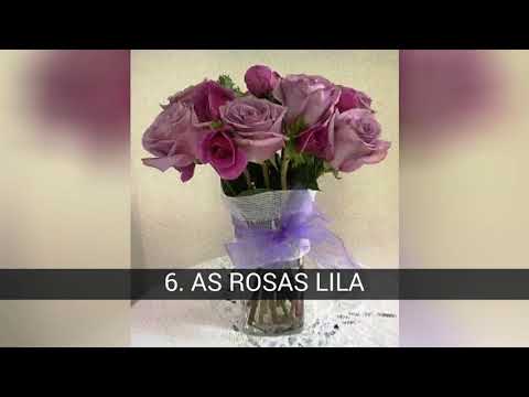 Vídeo: O Que Significa A Cor Das Rosas: Amarelo, Vermelho, Branco