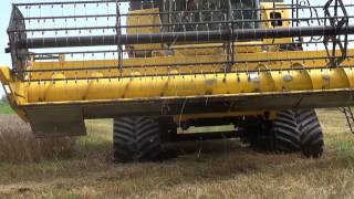 Trebbiatura Frumento 2014 - New Holland CR8070 Poluzzi Rice 6,1 m