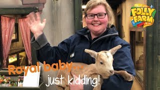 Royal Baby Announcement