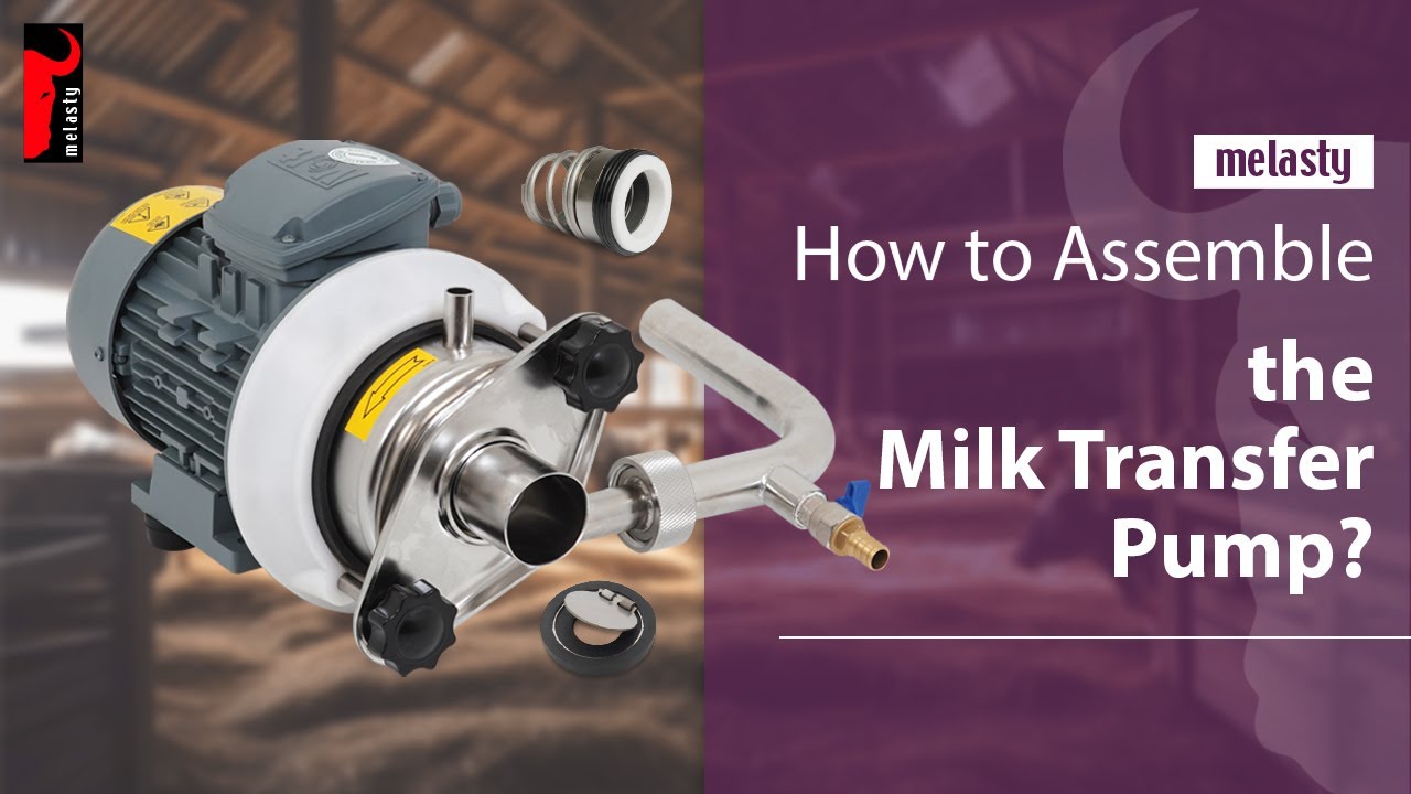 How to Assemble the Milk Transfer Pump? - YouTube
