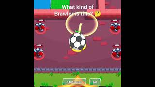 What Kind Of Brawler Is This?