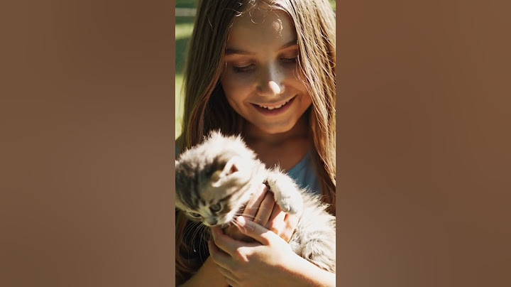 Он просто хотел немного любви… 😿💔 | #shorts He just wanted some love… 😿💔 | #shorts