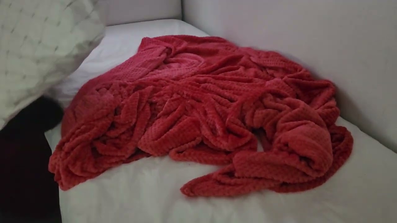 انشاءانشاءالله رمضان مبروك علينا وعليكم🤩🤩🤩