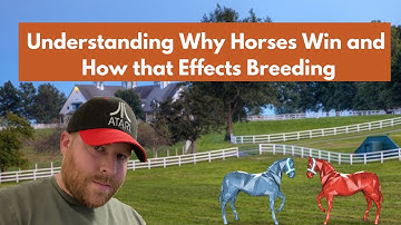 The Key To Breeding?  I Combining the Zed Run Breeding Theories and the Secrets they all Share