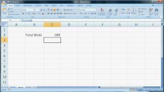 Excel 2007 Part 3 - Formulas (continued)