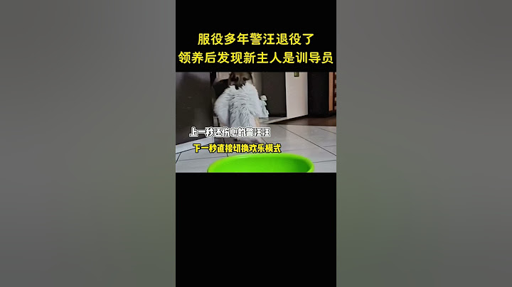 服役多年的警汪退役了，领养后发现新主人竟是训导员