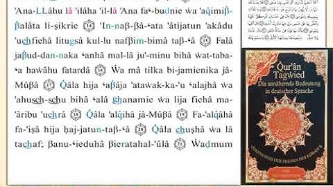 ختمة من مصحف التجويد باللغة الألمانية الصفحة رقم 313
