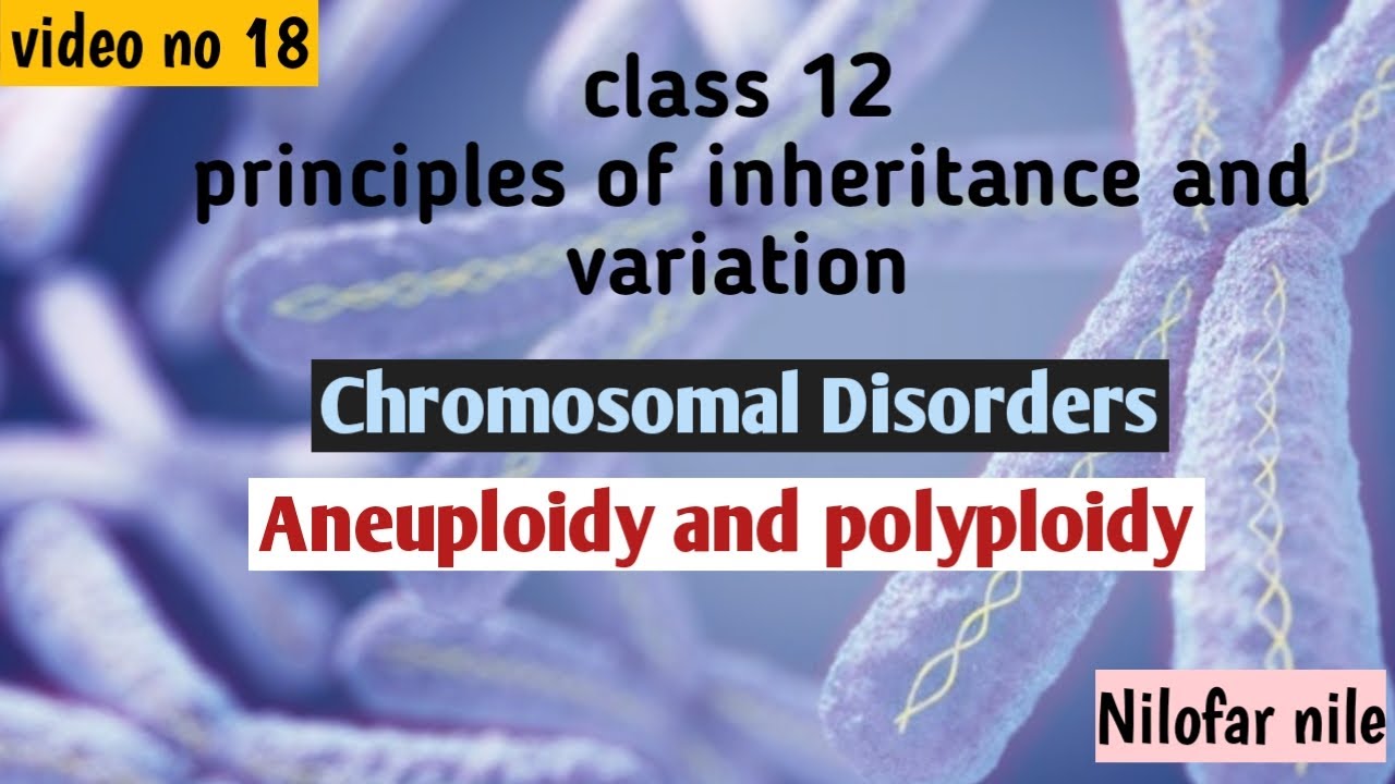 chromosomal disorders-Aneuploidy and Polyploidy - YouTube
