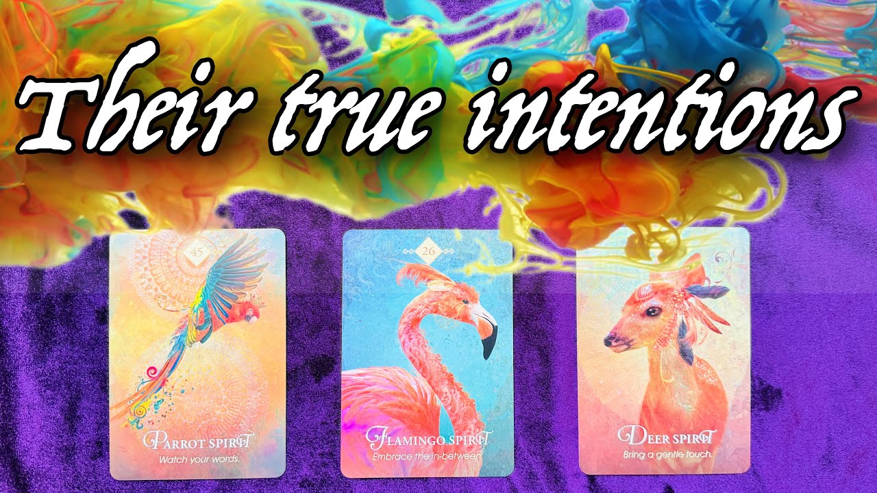 Their true intentions 👀 PICK A CARD 🔮