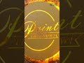 Make Your Brand Impossible to Ignore 🚀 | High-Quality Banner Boards 🔥