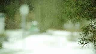 Snow Simulation After Effects