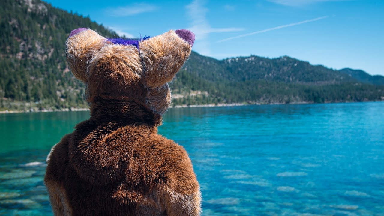 Atheo's Biggest Little Fur Con 2017 Con Video