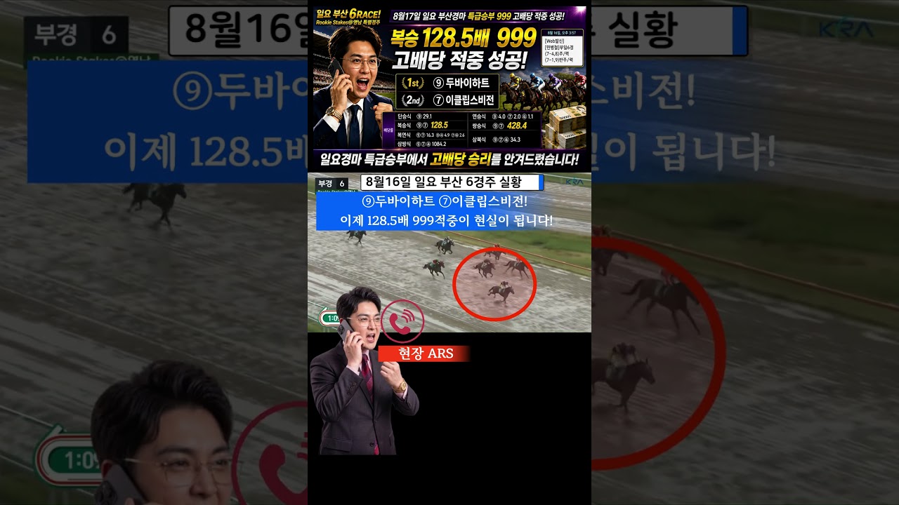 #로또 맞은 8월16일 일요부산 6경주!!