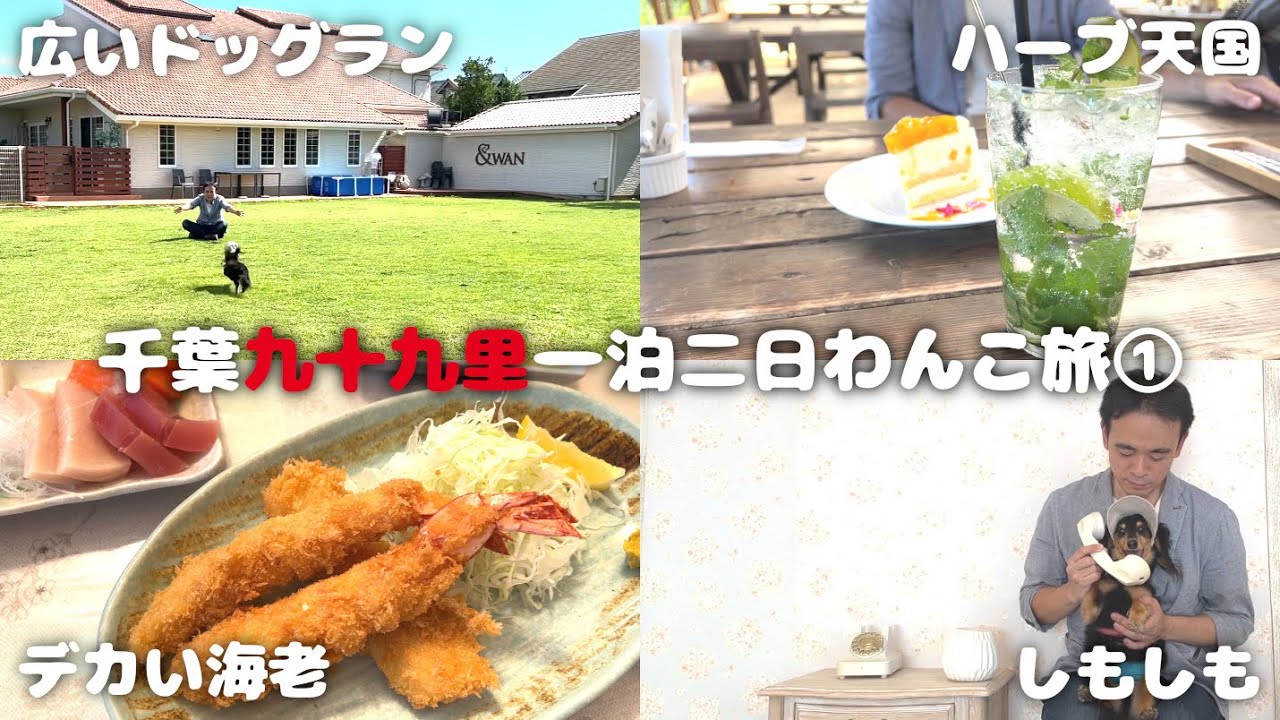 【犬連れ旅行千葉九十九里観光】愛犬とお出かけスポットを巡る 1泊2日わんこ旅1/3 2023.9