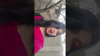 Dil Jo Tumhara Hai Kaisa Bichara Hai....