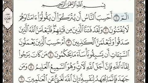 سورة العنكبوت 1-6 (٣٩٦)      Sheikh Anas AlHibri