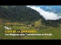 Café de la Amazonía: Las Mujeres que Transforman el Paujil - TvAgro por Juan Gonzalo Angel