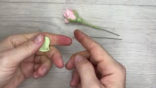 3. Листья и чашелистики для бутонов роз из зефирной глины и холодного фарфора (уровень новичка)