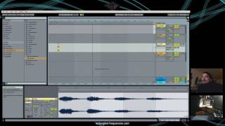 Ableton: User interface, First Steps