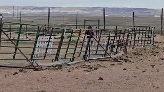 Melinda and Hunter Sheltie National 2025.