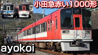 小田急 赤い1000形車両復活 箱根登山線用 アレグラ号カラー