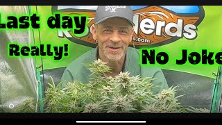 Chronic Chatter No Joke’s Tyme 2 Go