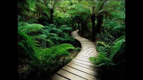 Μετάφραση του Surat Al-Nasr στα Ελληνικά -- ترجمة سورة النصر الى اللغة اليونانية