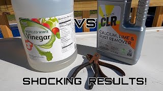 Rust Removal Vinegar VS CLR **SHOCKING RESULTS**