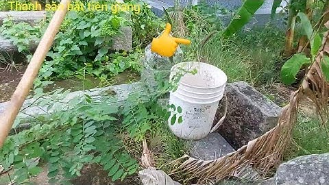 Cách Trinh Phục Câu Rắn Mối Một Mình Quá Đơn Giãn #@THANHSĂNBẮTTIỀNGIANG