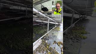 ⚠️ Warum Dachwartung bei PV-Anlagen extrem wichtig ist #photovoltaik #sachverständiger #pvanlage