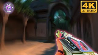 Calm Aim Crosshair 0;p;0;s;1;P;c;5;h;0;0l;3;0v;4;0o;1;0a;1;0f;0;1b;0