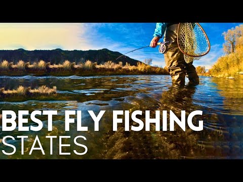 Video: Le migliori destinazioni per la pesca in Colorado