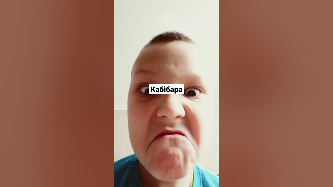 Кабібара - YouTube
