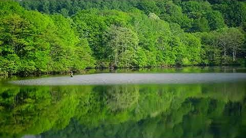 سورة الفاتحة بصوت القارئ أبو يوسف الخرخاشي