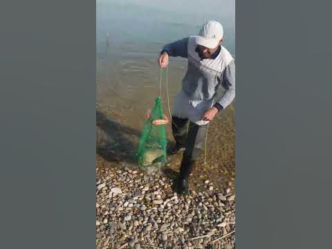 тудакул сазан - YouTube