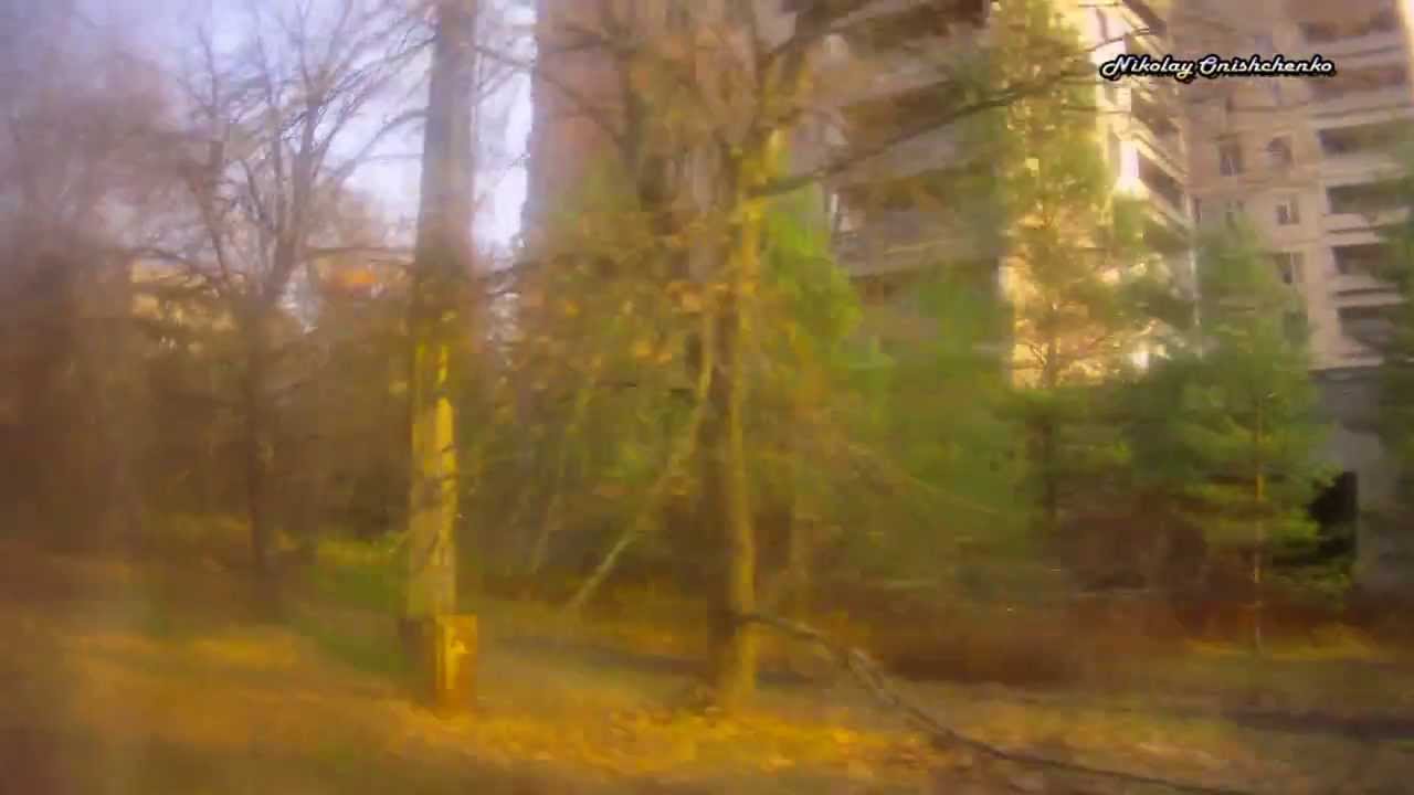 Фото из окна машины