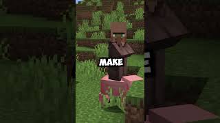 Villagers Can Ride Pigs