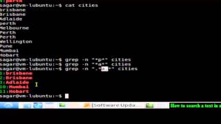 How to search a text in a file in Ubuntu