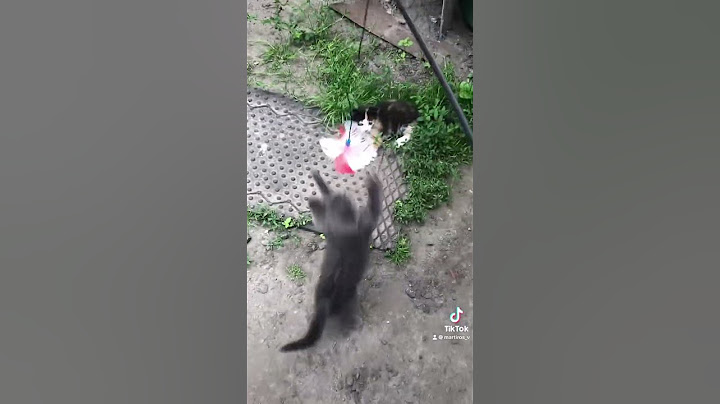 Відео з мого акаунта в Тік ток