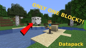 Minecraft but you can only carry one block at a time