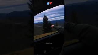 Tujh pe dil haar ke 🫂💞#shorts #trendingshorts #shreyaghoshal #youtubeshorts