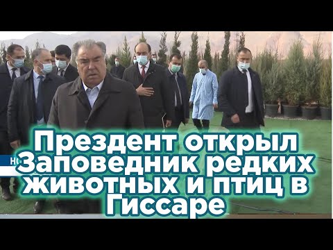 Заповедник редких животных и птиц «Куллахои Тоджик» («Пики Таджикистана») в Гиссаре.