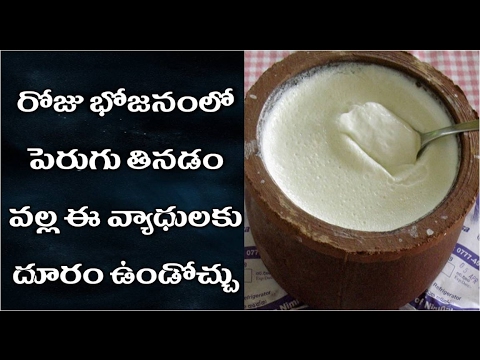 రోజు-భోజనంతో-పెరుగు-తింటే-ఈ-వ్యాధులు-రావు-|-roju-bojanamlo-perugu-thinte-e-vyadulu-ravu?