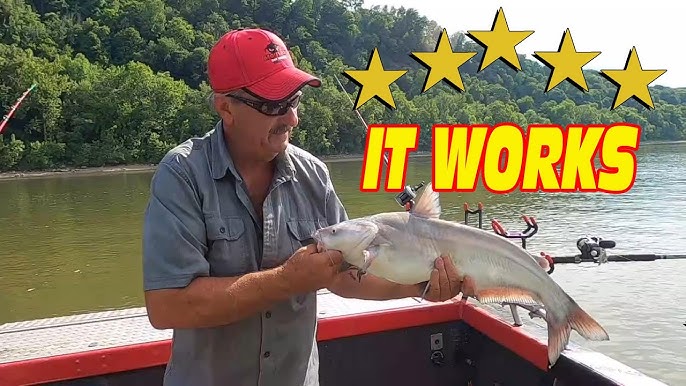 The MOST VERSATILE Catfish Bait EVER Made!?- Dark Water Premium