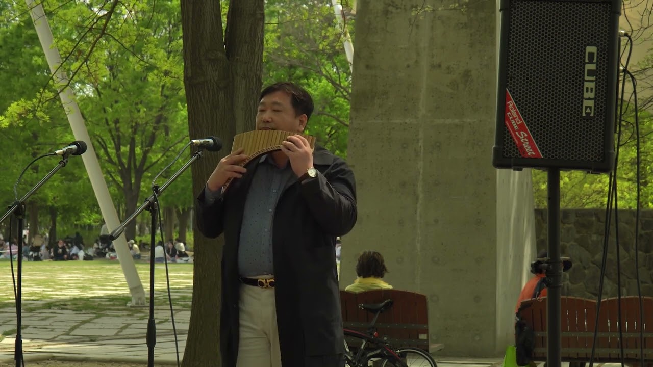 YouTube에서 벚꽃엔딩(유화승)_서울숲 팬플룻 힐링 버스킹 보기 YouTube에서 벚꽃엔딩(유화승)_서울숲 팬플룻 힐링 버스킹 보기