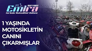 Motosikleti Fare Gibi Kemirmişler