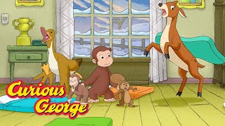 curious george georges sleepover party kids cartoon kids movies videos for kids